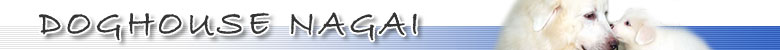�e���̔��E�u���[�_�[�����@�h�b�O�n�E�X�i�K�C